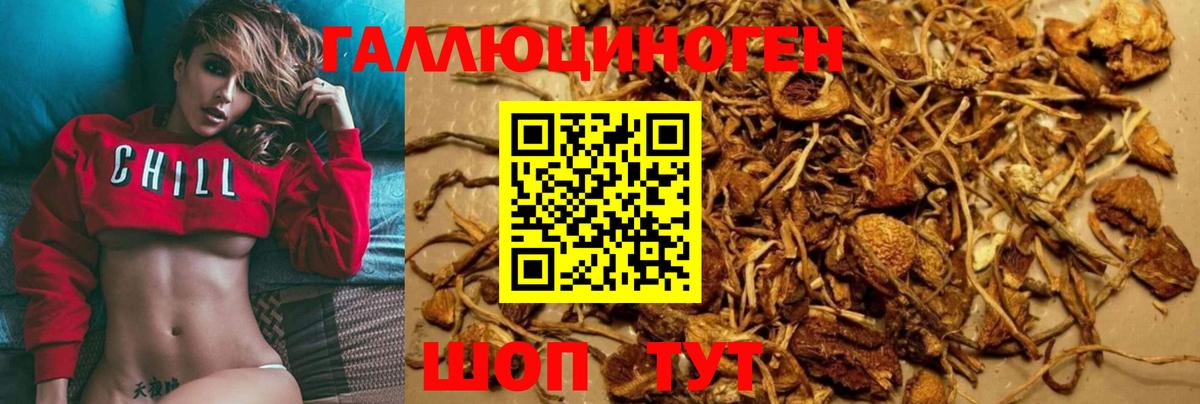 наркотики  Вход с VPN  Галлюциногенные грибы MAGIC MUSHROOMS  Тверь  Псилоцибиновые грибы Psilocybine cubensis 