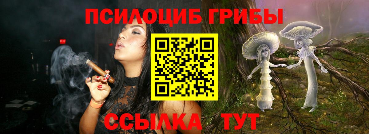 Галлюциногенные грибы прущие грибы Тверь